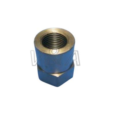 510000247 Check Valve Gland