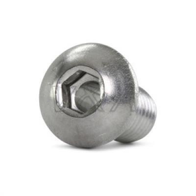 104431 Check Tube Screw, 7/8 in., 1 in.